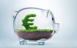 Piggy bank Euro Picture